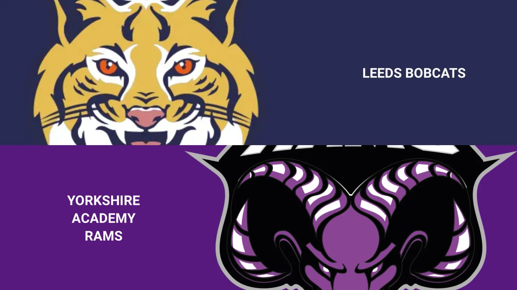 Game Cancelled: @ Leeds Bobcats