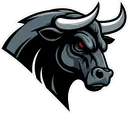 Birmingham Bulls