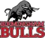 Birmingham Bulls