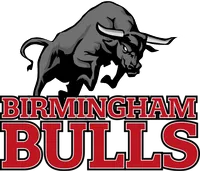 Birmingham Bulls