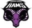 Yorkshire Academy Rams