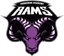 Yorkshire Academy Rams