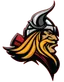 Newcastle Vikings