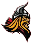 newcastle-vikings